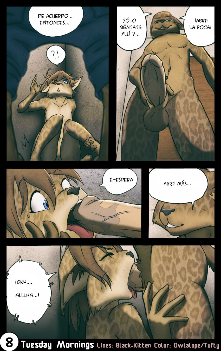 08 Page 8