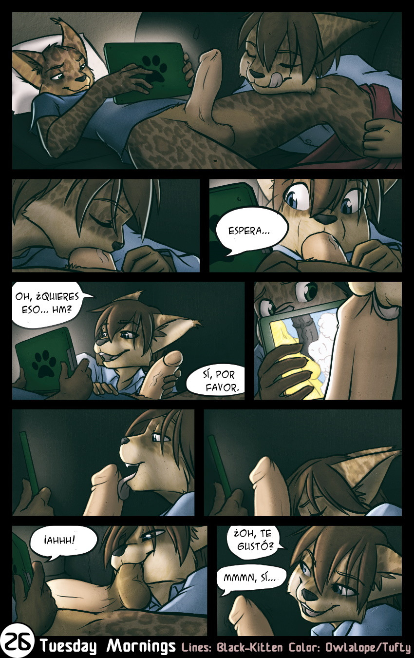 26 Page 26