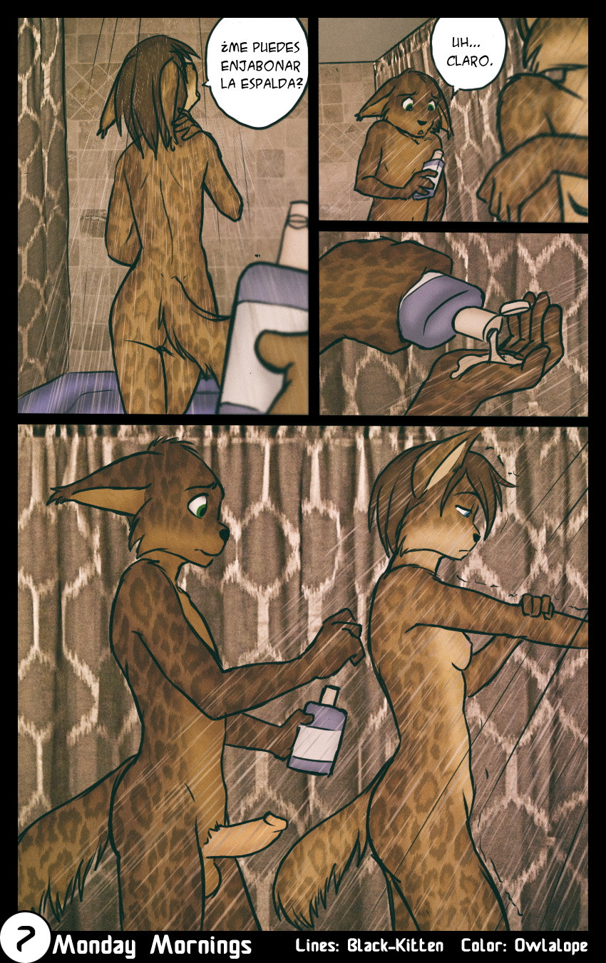 08 Page 7