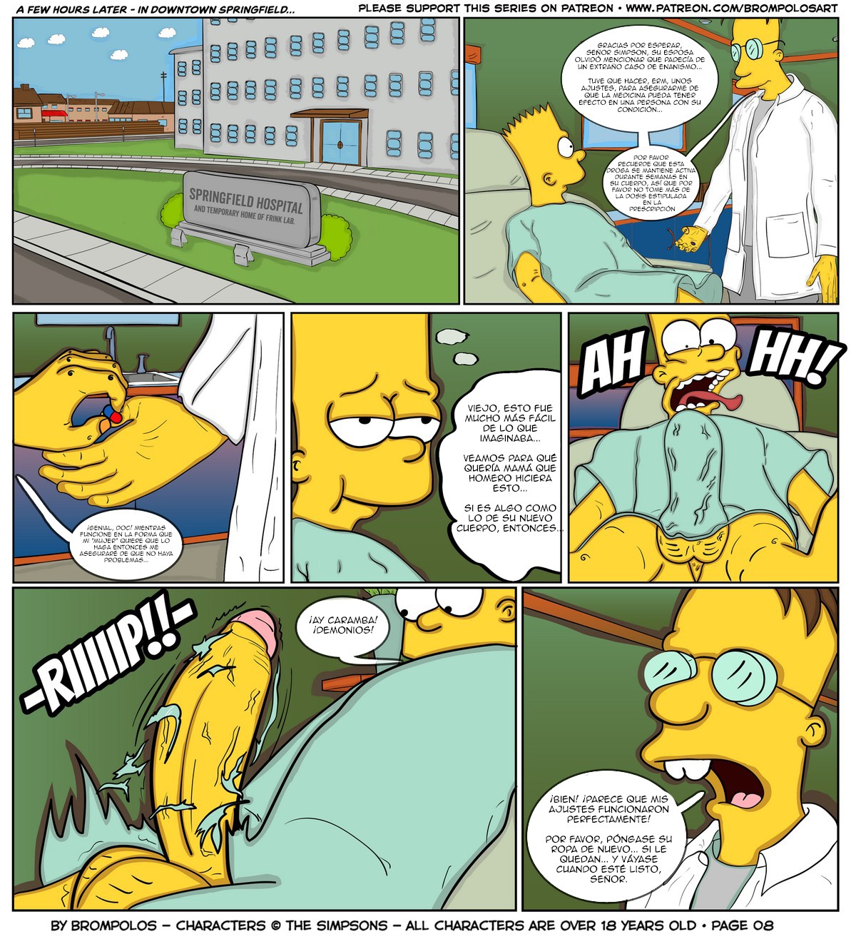 Brompolos-The-Simpsons-are-The-Sexenteins-11.jpg